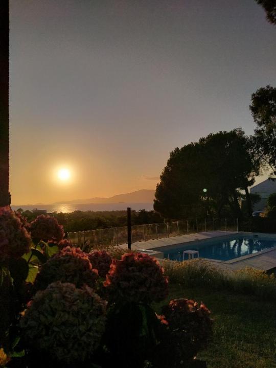 Corsicadream Arone Superbe Appartement Dans Villa, Vue Panoramique Mer, Piscine, Proche Porticcio Pietrosella Eksteriør bilde